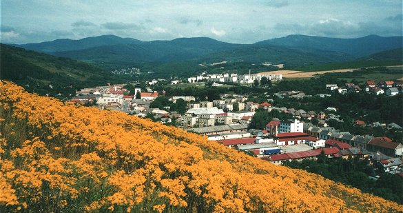 Blick vom Bachhübel